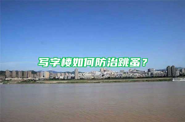 写字楼如何防治跳蚤？