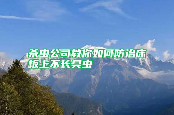 杀虫公司教你如何防治床板上不长臭虫