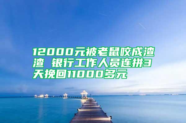 12000元被老鼠咬成渣渣 银行工作人员连拼3天挽回11000多元