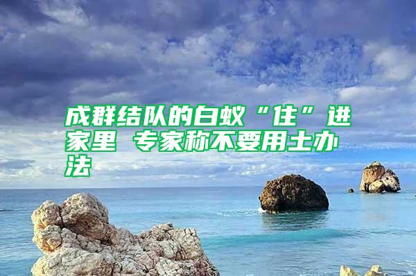 成群结队的白蚁“住”进家里 专家称不要用土办法