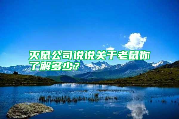 灭鼠公司说说关于老鼠你了解多少？