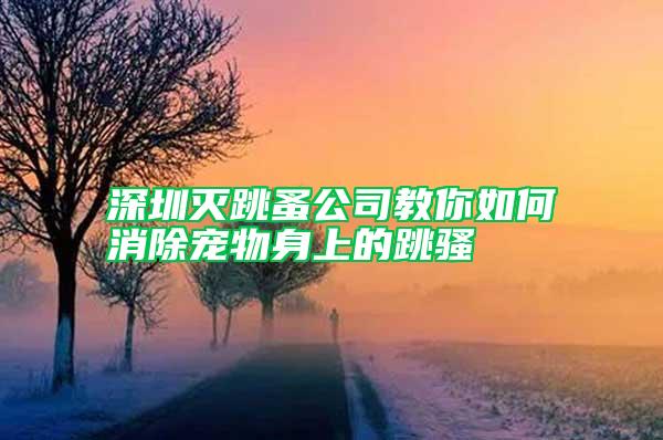 深圳灭跳蚤公司教你如何消除宠物身上的跳骚