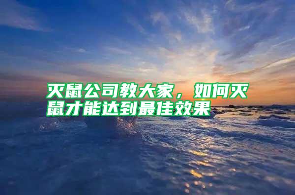 灭鼠公司教大家，如何灭鼠才能达到最佳效果