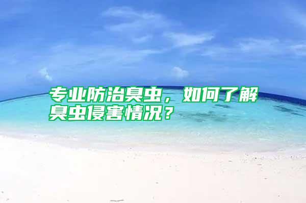 专业防治臭虫，如何了解臭虫侵害情况？