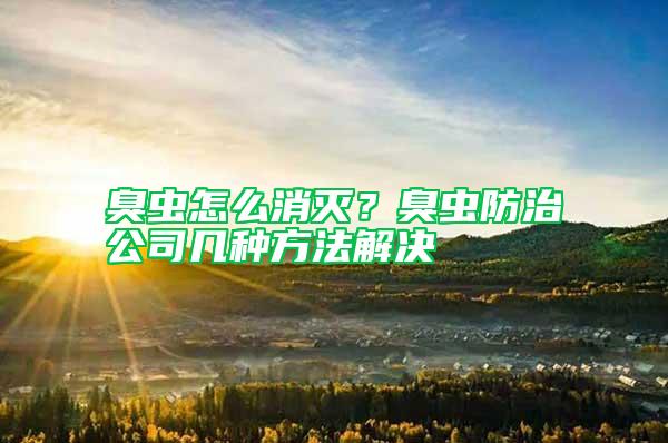 臭虫怎么消灭？臭虫防治公司几种方法解决