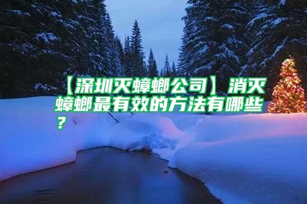 【深圳灭蟑螂公司】消灭蟑螂最有效的方法有哪些？