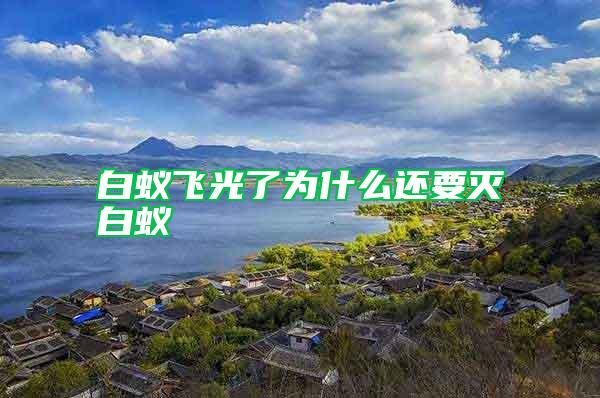 白蚁飞光了为什么还要灭白蚁
