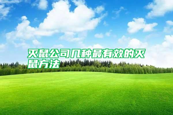 灭鼠公司几种最有效的灭鼠方法