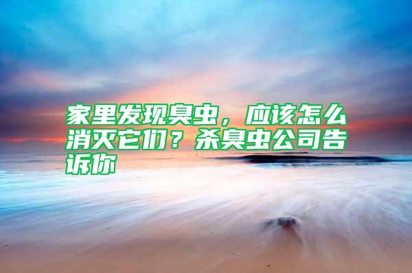 家里发现臭虫，应该怎么消灭它们？杀臭虫公司告诉你