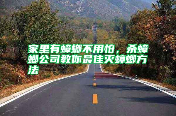 家里有蟑螂不用怕，杀蟑螂公司教你最佳灭蟑螂方法