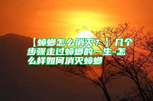 【蟑螂怎么消灭？】几个步骤走过蟑螂的一生-怎么样如何消灭蟑螂