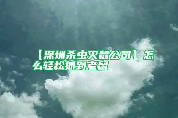 【深圳杀虫灭鼠公司】怎么轻松抓到老鼠