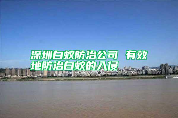 深圳白蚁防治公司 有效地防治白蚁的入侵