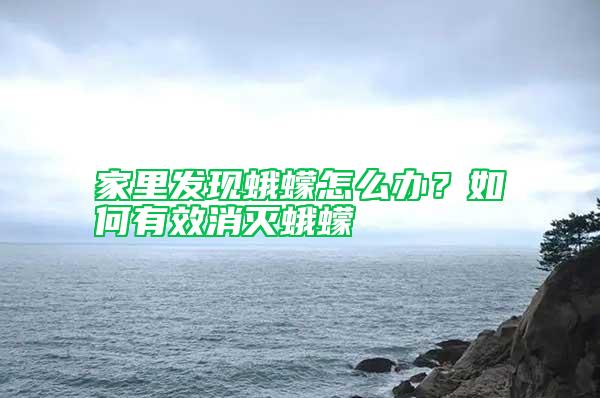 家里发现蛾蠓怎么办？如何有效消灭蛾蠓