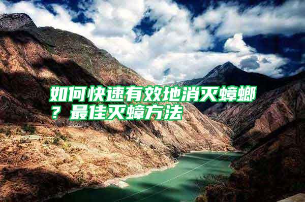 如何快速有效地消灭蟑螂？最佳灭蟑方法