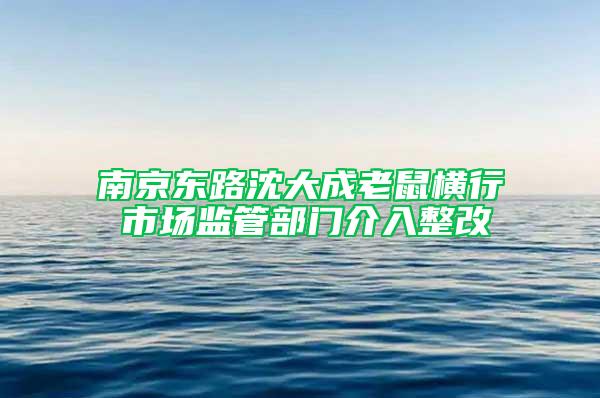 南京东路沈大成老鼠横行 市场监管部门介入整改