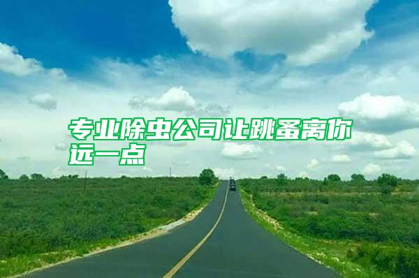 专业除虫公司让跳蚤离你远一点