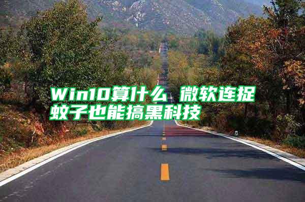 Win10算什么 微软连捉蚊子也能搞黑科技