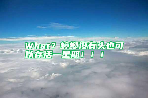 What？蟑螂没有头也可以存活一星期！！！