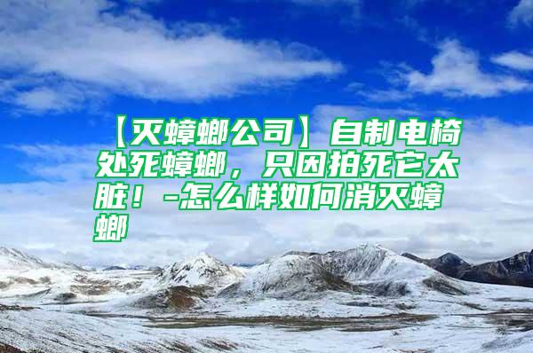 【灭蟑螂公司】自制电椅处死蟑螂，只因拍死它太脏！-怎么样如何消灭蟑螂