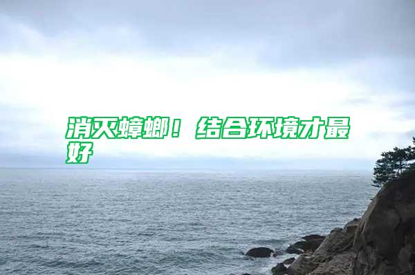消灭蟑螂！结合环境才最好