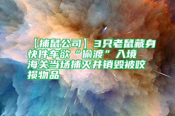 【捕鼠公司】3只老鼠藏身快件车欲“偷渡”入境 海关当场捕灭并销毁被咬损物品