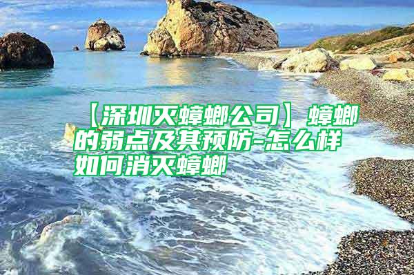 【深圳灭蟑螂公司】蟑螂的弱点及其预防-怎么样如何消灭蟑螂