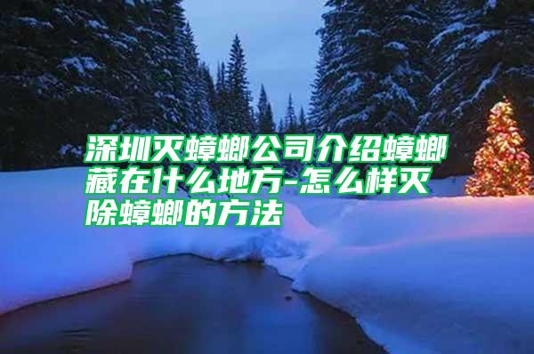 深圳灭蟑螂公司介绍蟑螂藏在什么地方-怎么样灭除蟑螂的方法