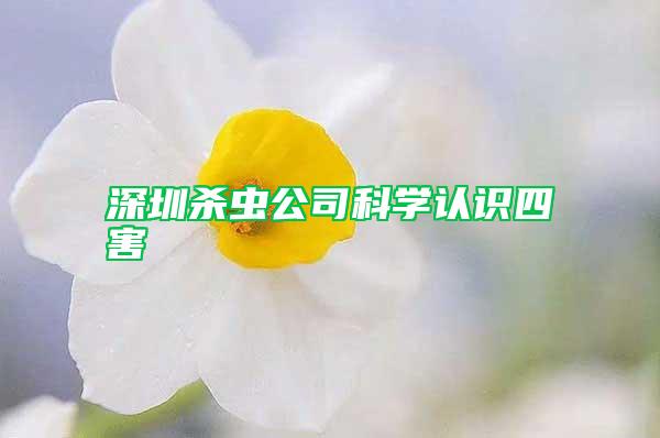 深圳杀虫公司科学认识四害