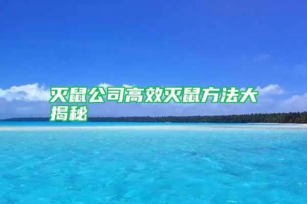 灭鼠公司高效灭鼠方法大揭秘