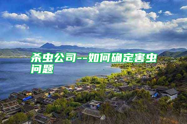 杀虫公司--如何确定害虫问题
