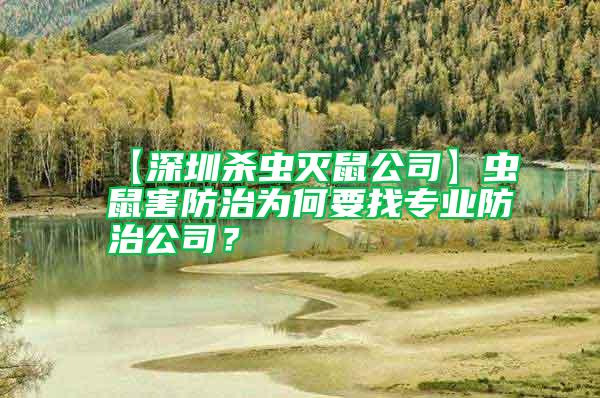 【深圳杀虫灭鼠公司】虫鼠害防治为何要找专业防治公司？