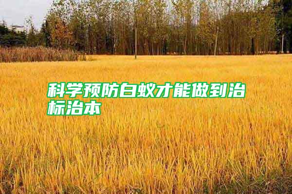 科学预防白蚁才能做到治标治本