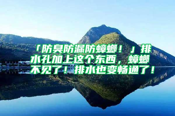 「防臭防漏防蟑螂！」排水孔加上这个东西，蟑螂不见了！排水也变畅通了！