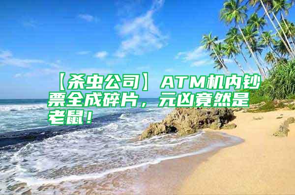 【杀虫公司】ATM机内钞票全成碎片，元凶竟然是老鼠！