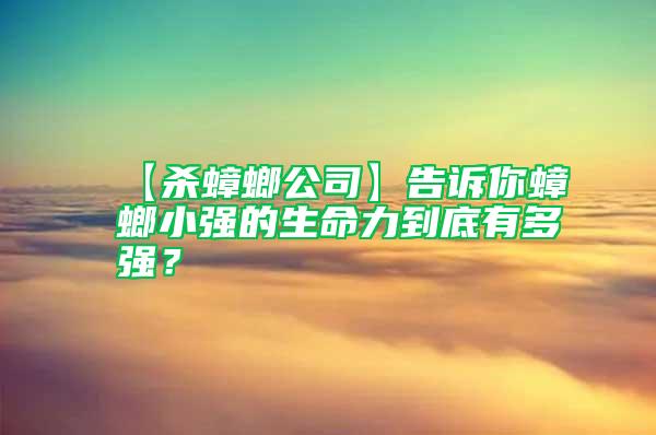 【杀蟑螂公司】告诉你蟑螂小强的生命力到底有多强？