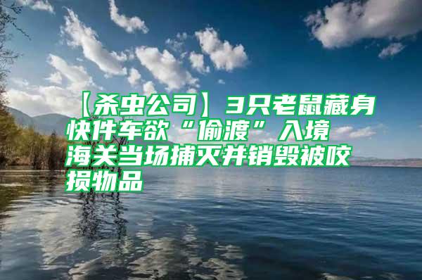 【杀虫公司】3只老鼠藏身快件车欲“偷渡”入境 海关当场捕灭并销毁被咬损物品