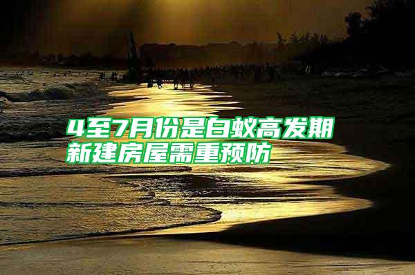 4至7月份是白蚁高发期 新建房屋需重预防