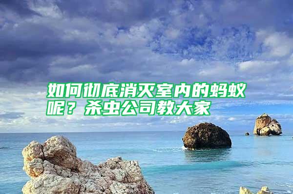 如何彻底消灭室内的蚂蚁呢？杀虫公司教大家