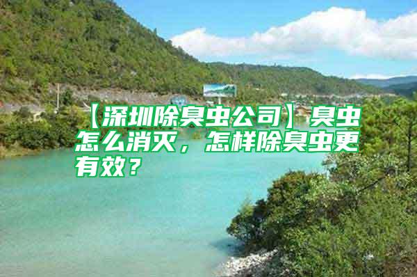 【深圳除臭虫公司】臭虫怎么消灭，怎样除臭虫更有效？