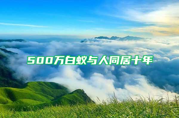 500万白蚁与人同居十年