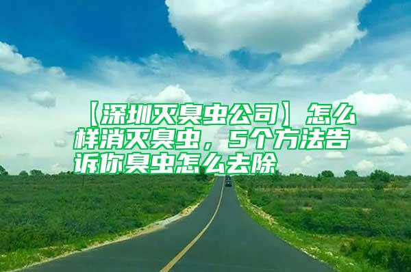 【深圳灭臭虫公司】怎么样消灭臭虫，5个方法告诉你臭虫怎么去除