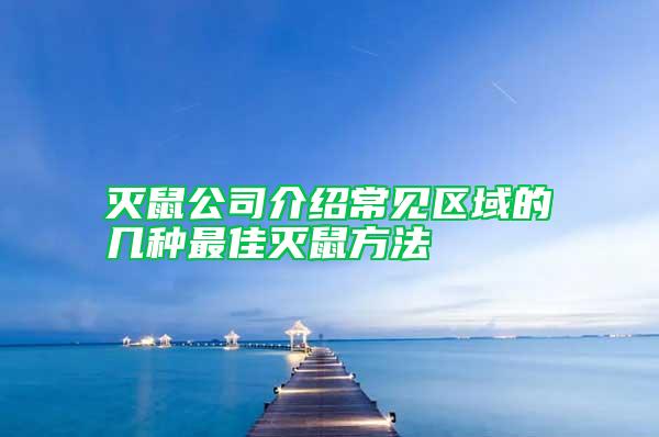 灭鼠公司介绍常见区域的几种最佳灭鼠方法