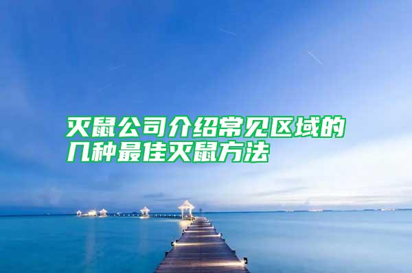 灭鼠公司介绍常见区域的几种最佳灭鼠方法