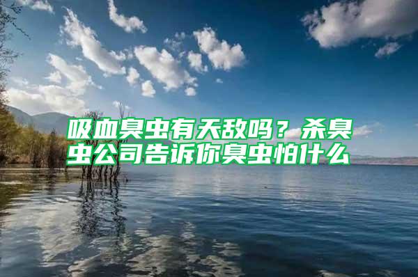 吸血臭虫有天敌吗？杀臭虫公司告诉你臭虫怕什么