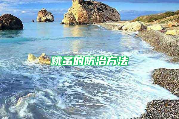 跳蚤的防治方法