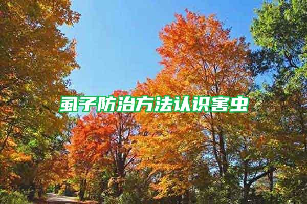 虱子防治方法认识害虫