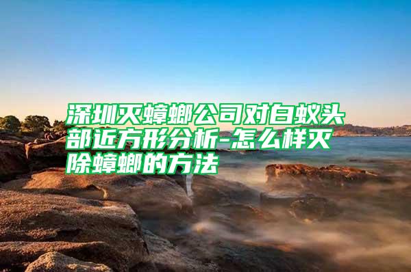 深圳灭蟑螂公司对白蚁头部近方形分析-怎么样灭除蟑螂的方法