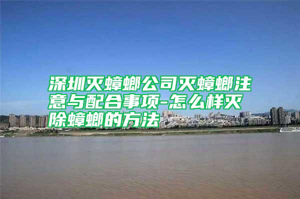 深圳灭蟑螂公司灭蟑螂注意与配合事项-怎么样灭除蟑螂的方法