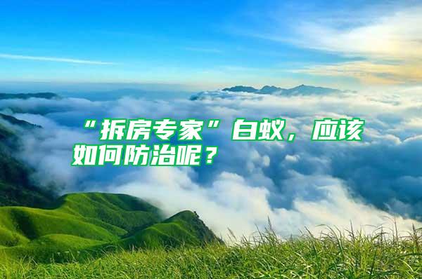 “拆房专家”白蚁，应该如何防治呢？